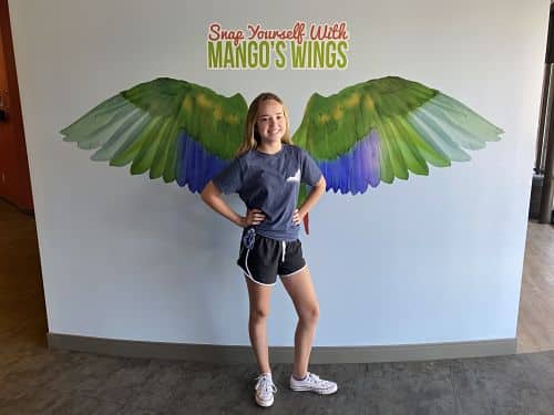 mango wings Parks Orthodontics Mango's wings photo opportunity