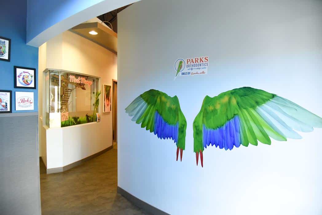 Parks Office May 23-41 Parks Orthodontics hallway wall mural wings welcoming office